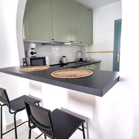 公寓 Spanish Oasis 托雷维耶哈