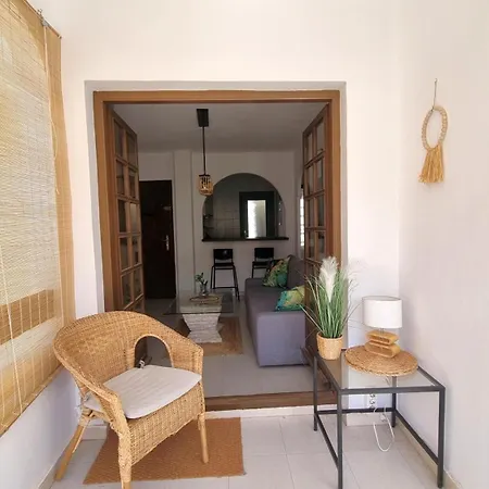 Spanish Oasis 公寓 托雷维耶哈